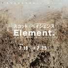 , 美術領域選抜個展シリーズvol.26　スコット・ペイシェンス「Element.」