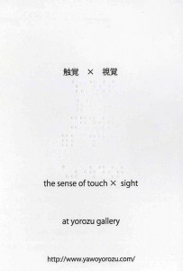 2017the sense of touch×sight