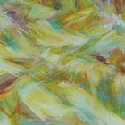 , 教職員個展：西田優史 展